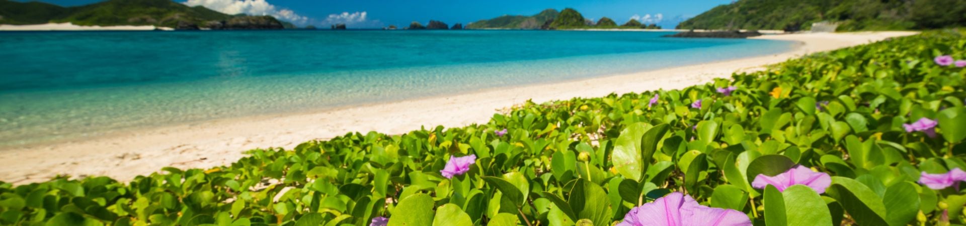 Image of Kerama Islands Relaxation and Exploration