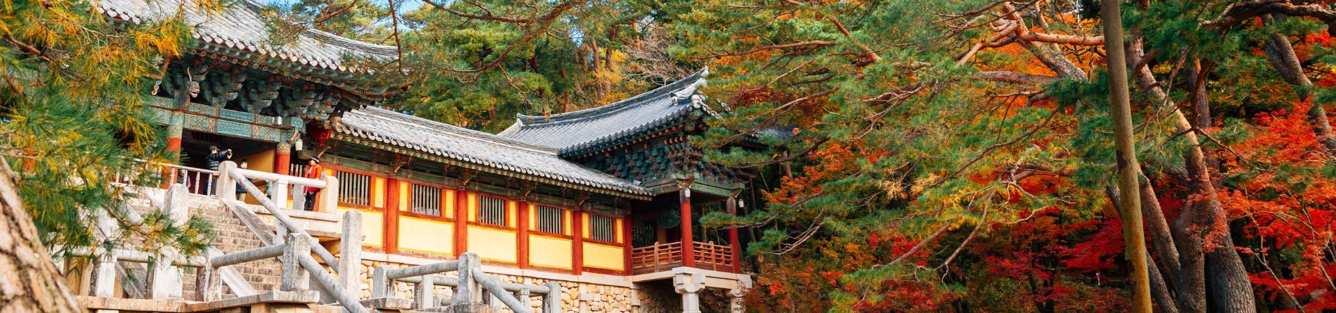 Image of Martial Arts Monks