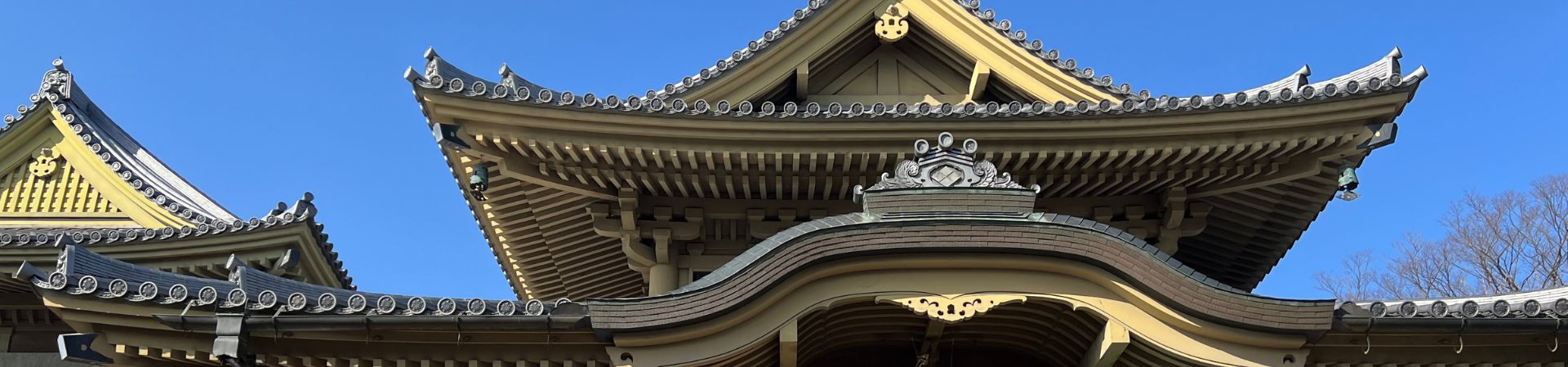 Nagano Zenkoji Temple Experience
