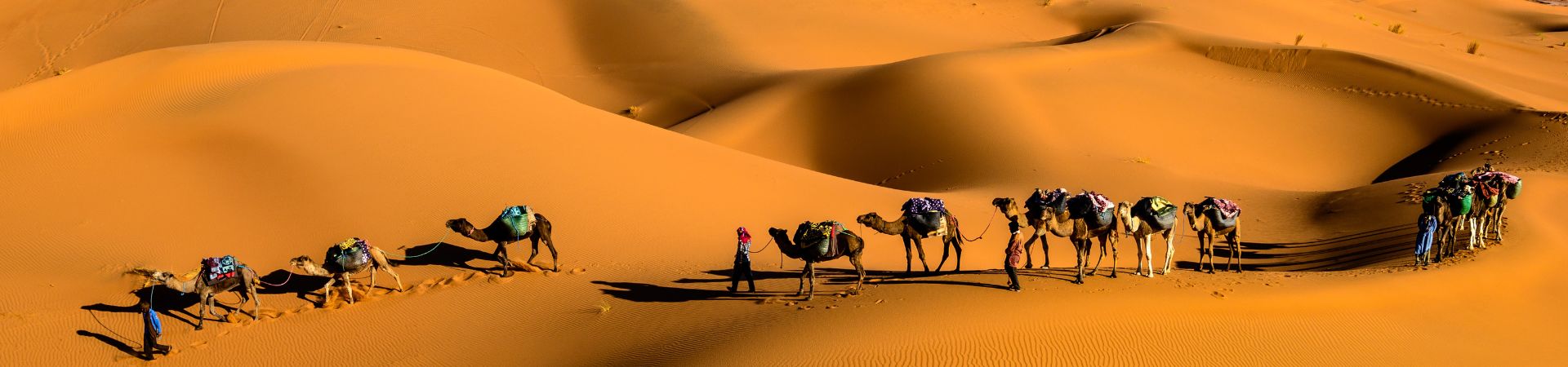 South Sahara Experience