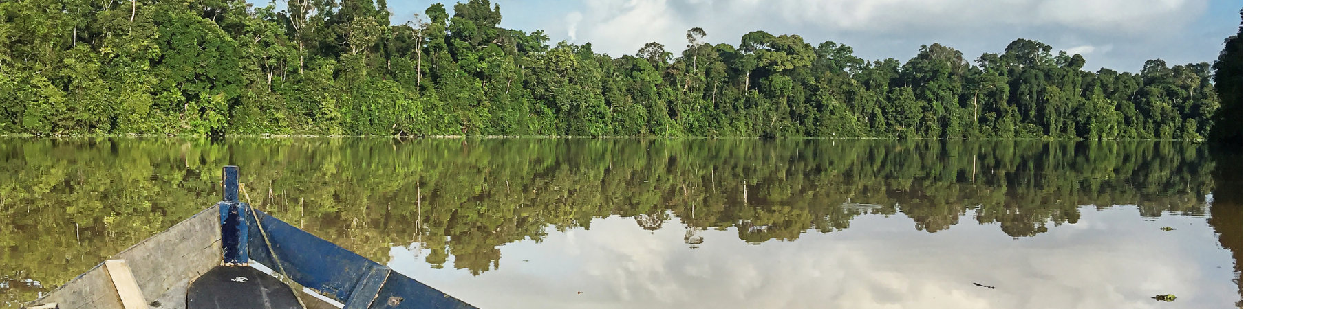 Image of Sukau River Safaris at Borneo Nature Lodge