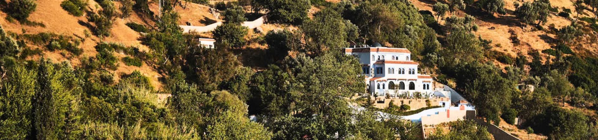 Image of Dar Jasmine