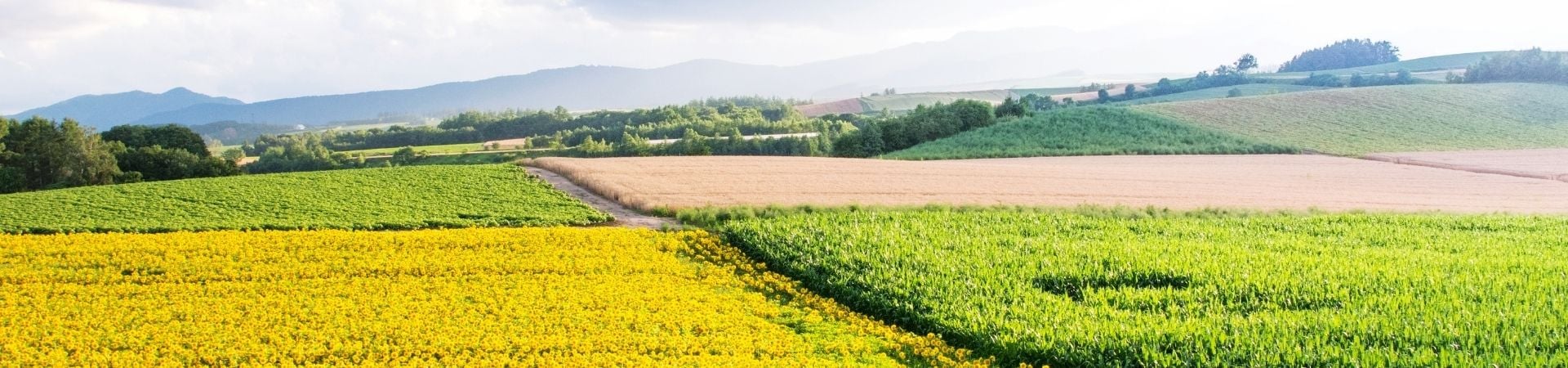 Image of Hokkaido Explorer