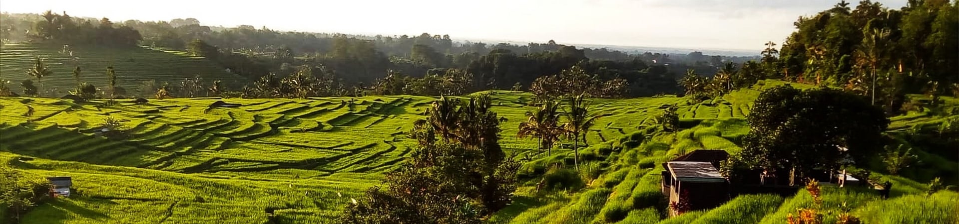 Overland From North Bali to Ubud
