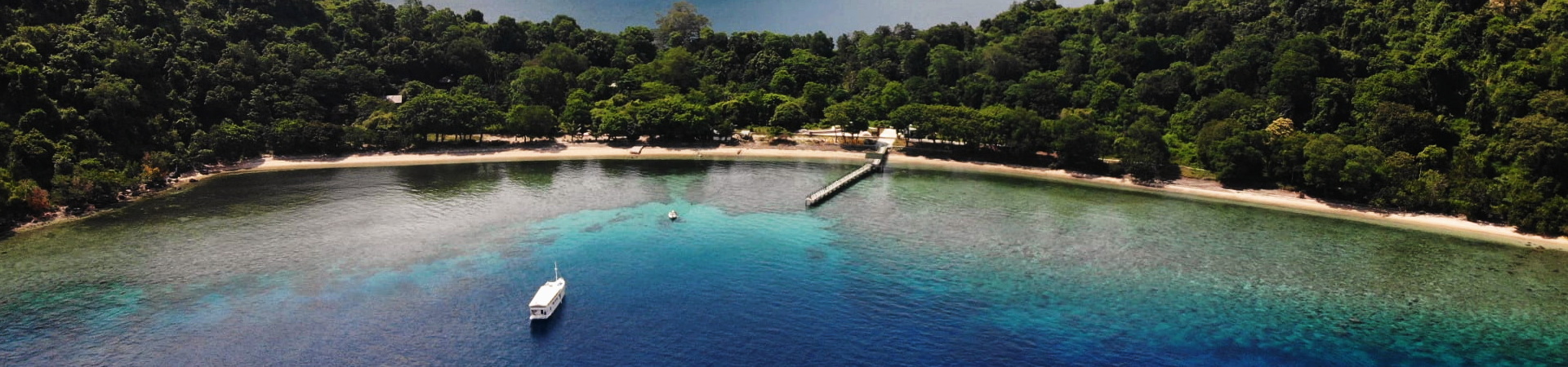 Image of The Sumbawa: Whale Sharks & Nature Experience