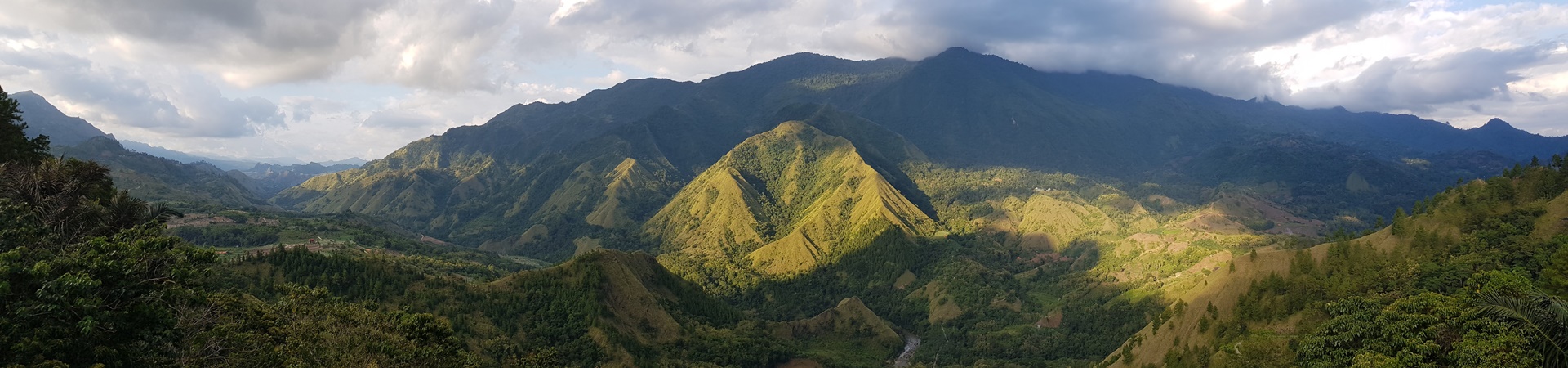 Image of Sulawesi Discovery