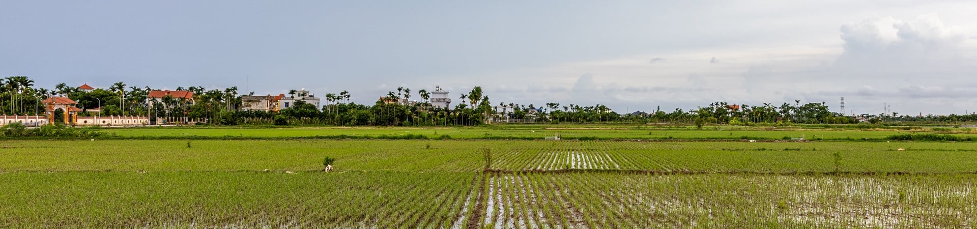 Undiscovered Nam Dinh, Karsts of Ninh Binh & Halong Bay