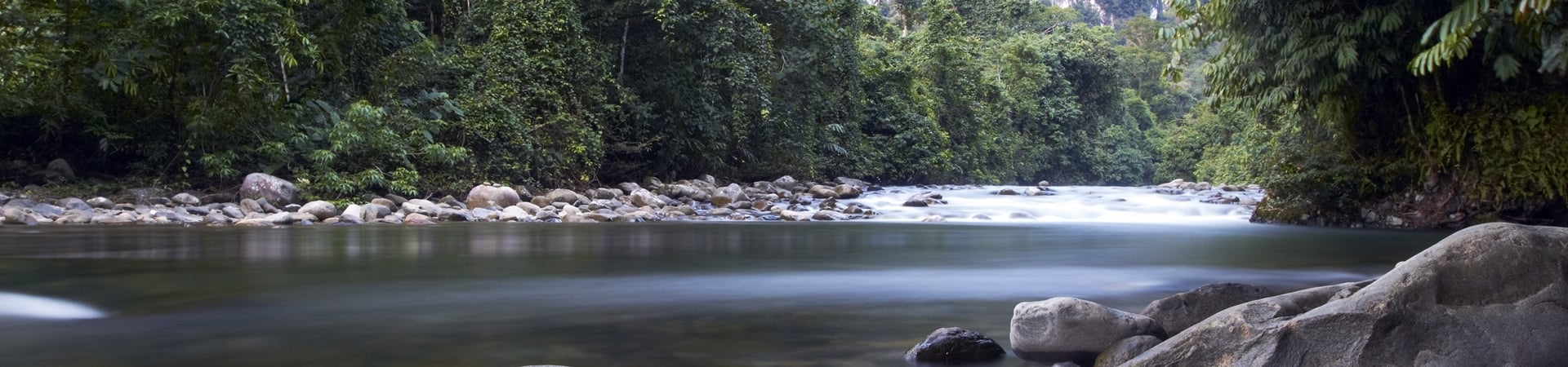 Image of World Heritage Sites of Borneo, Mulu and Kinabalu National Parks