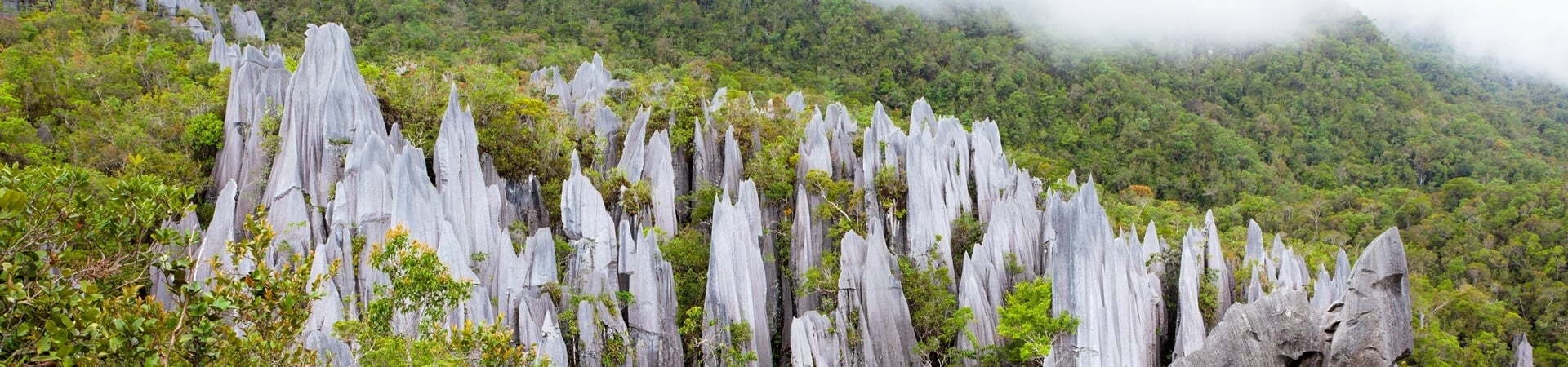 Image of Mulu Escape