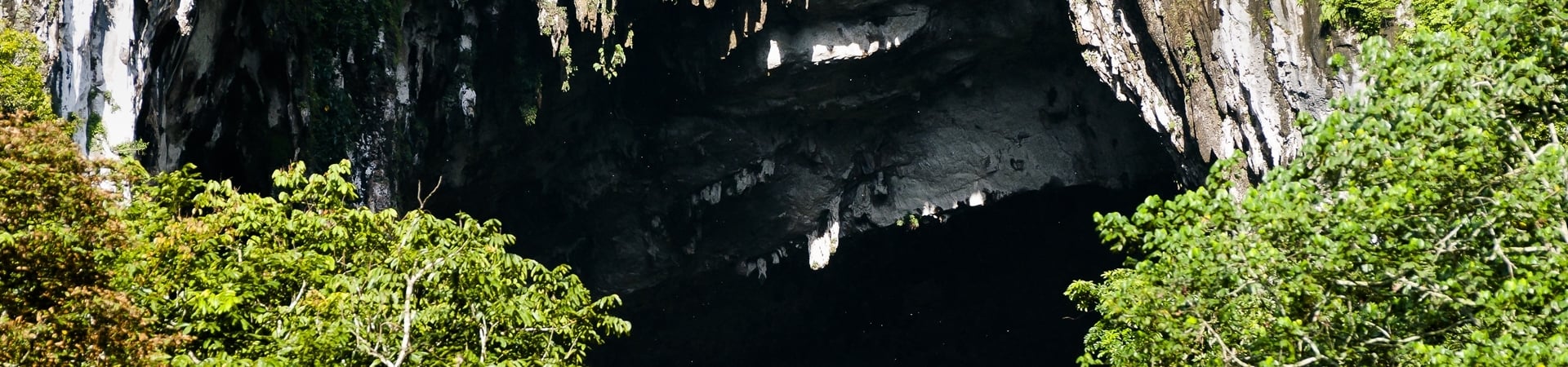 Trek the Headhunters Trail