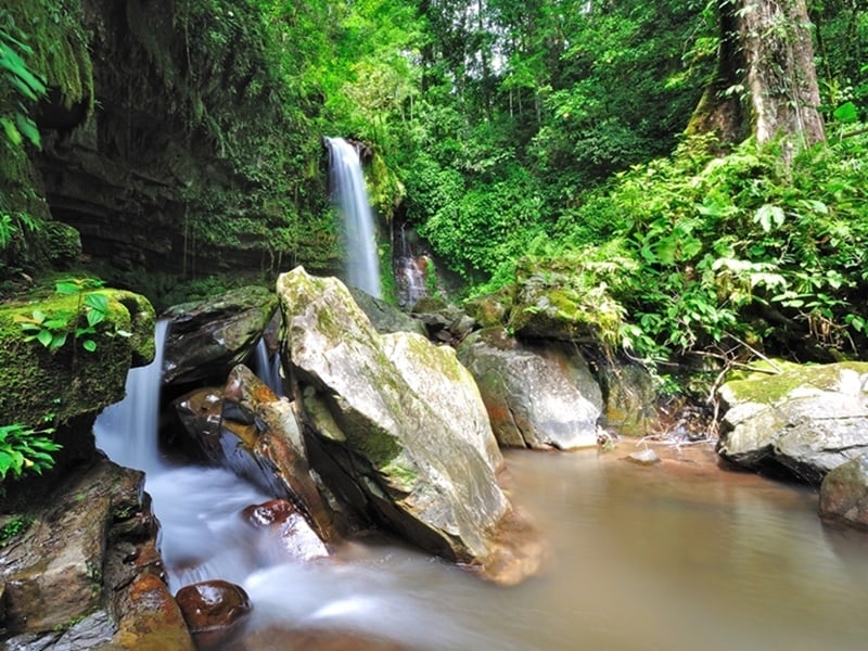 Sabah Ultimate Wildlife