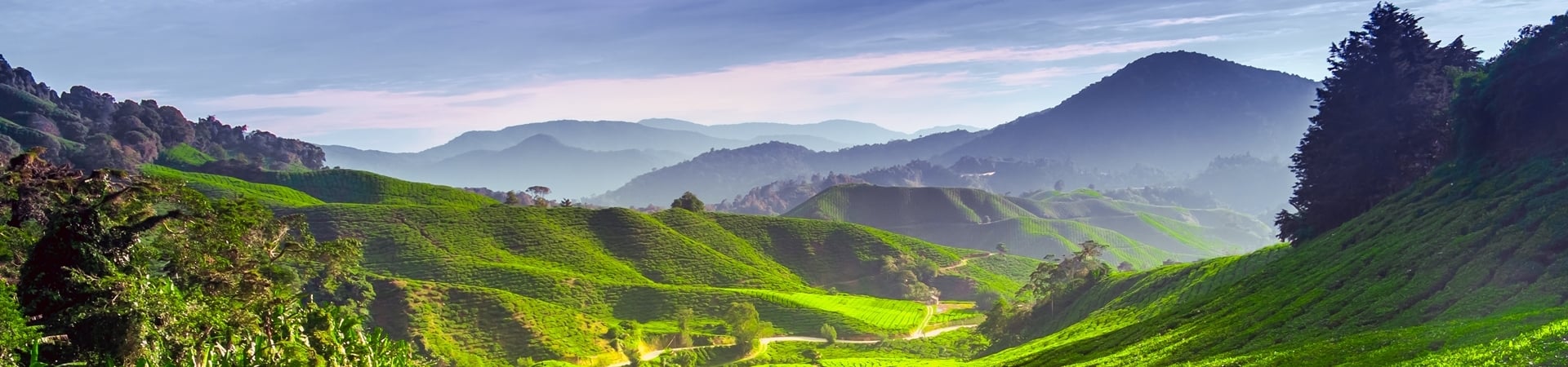 Image of Best of Highlands Short