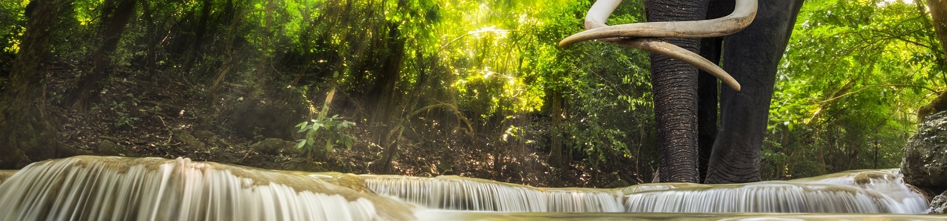 Image of Thailand Holiday with a Twist