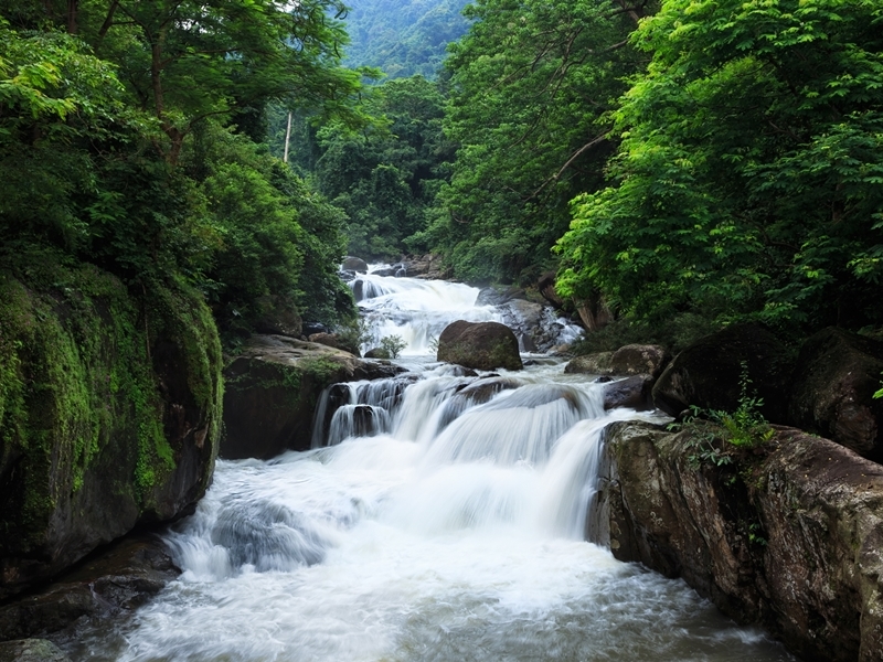 Khao Yai Escape & Family Experience