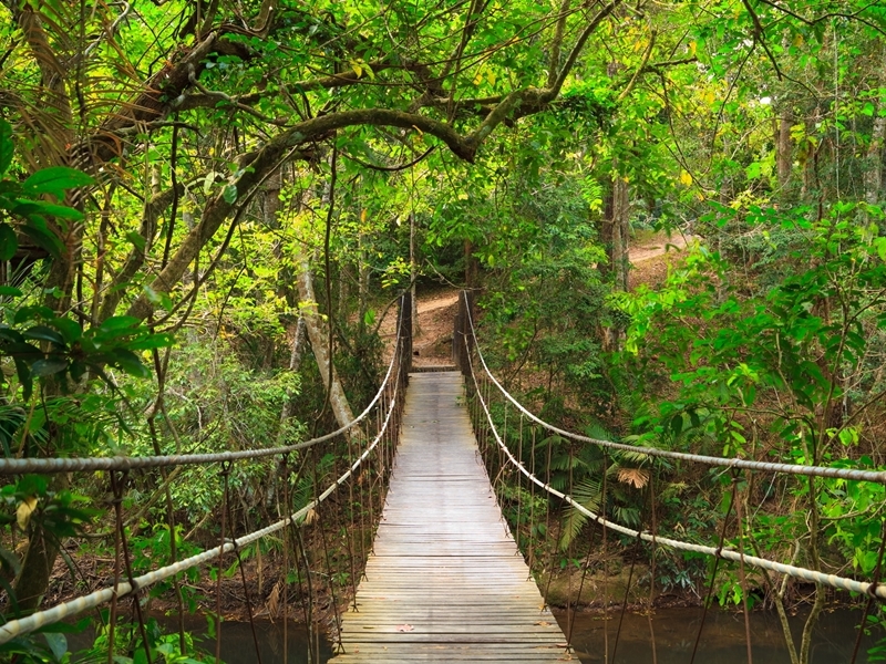 Khao Yai Escape & Family Experience