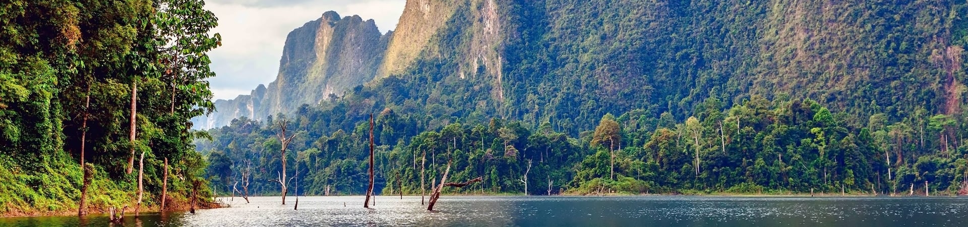 Image of The Hidden Gem of The South