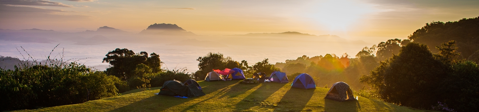 Image of Tree Top Living Chiang Mai