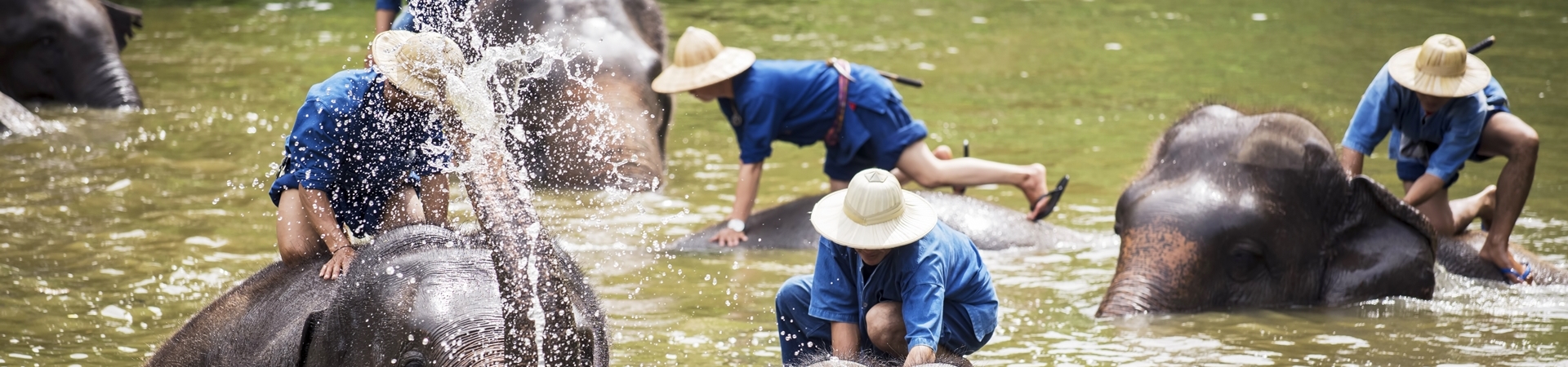 Image of Lavish Lifestyles Thailand