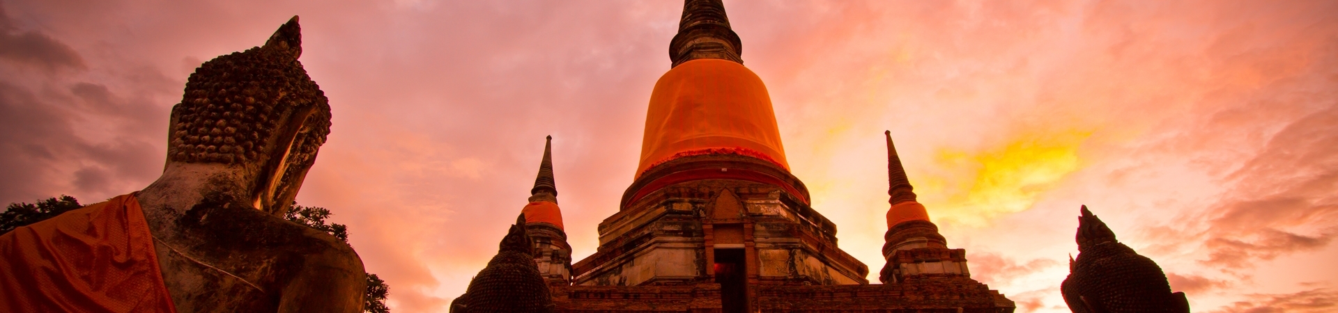 Image of Discover the Nature and History of the Thai Countryside