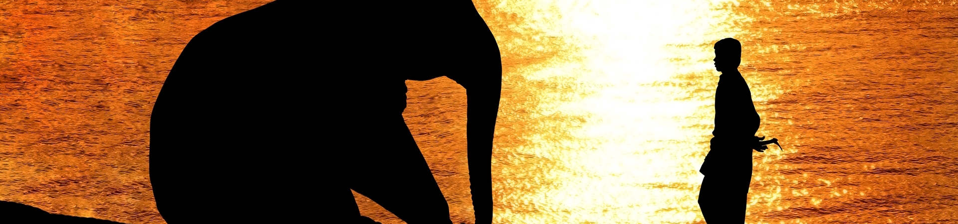 Image of Anurak Community Lodge Beach & Rainforest Natural Safari