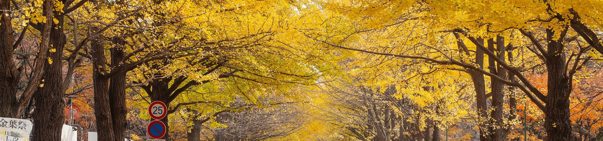 Hokkaido Autumn Colors
