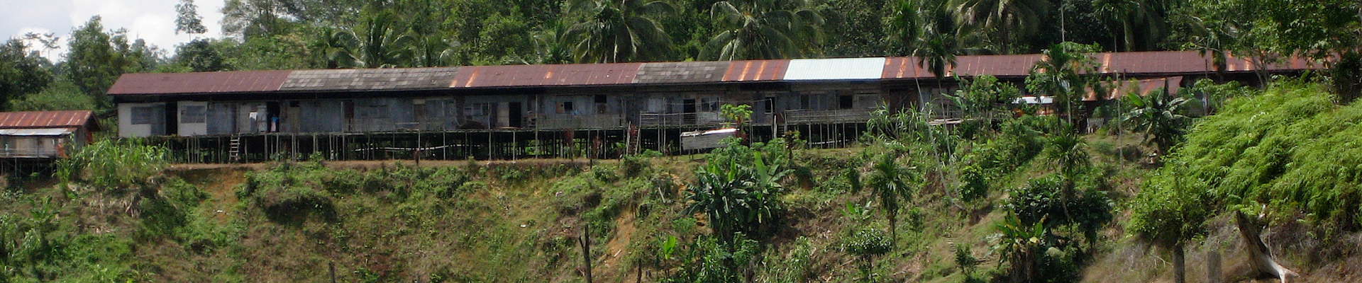 Image of Mystical Sarawak