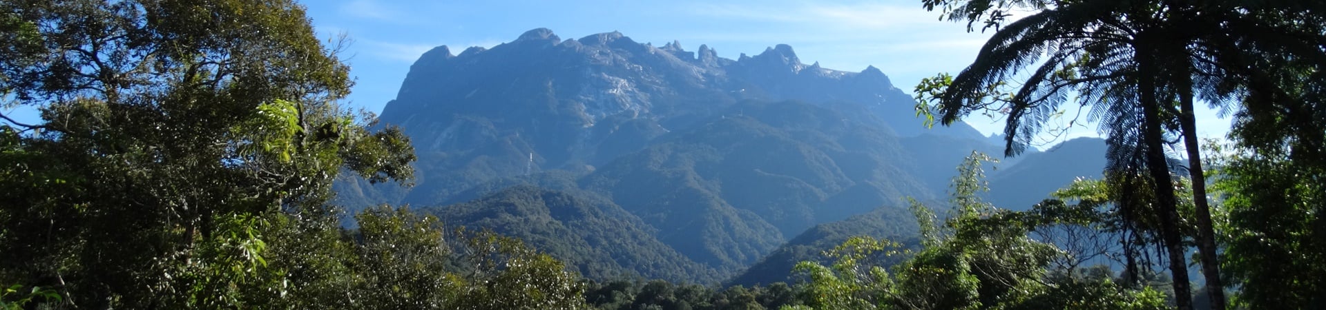 Trekking Challenge :  Mount Kinabalu Jungle to Mountain