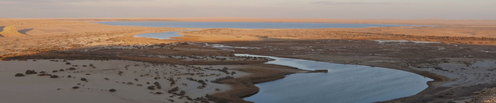 Fayoum and White Desert Escape