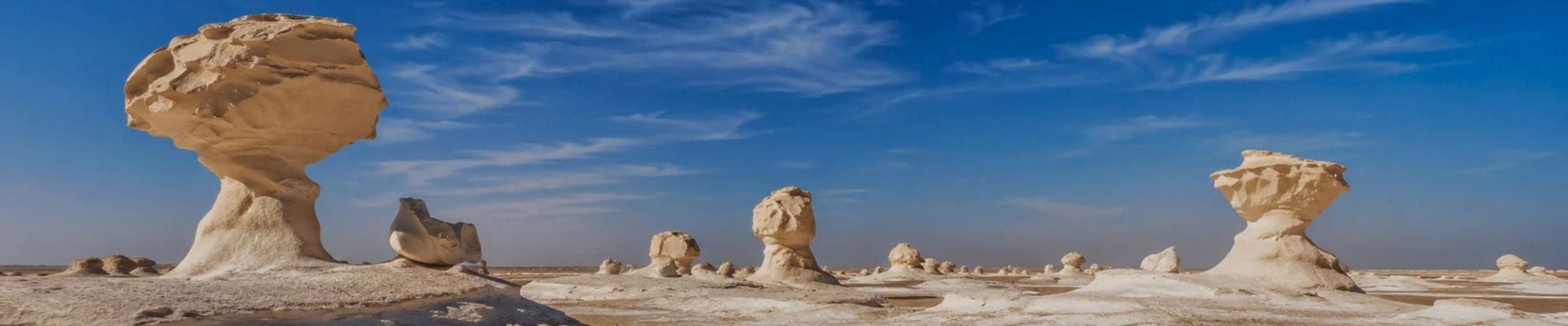 Image of White Desert Adventure