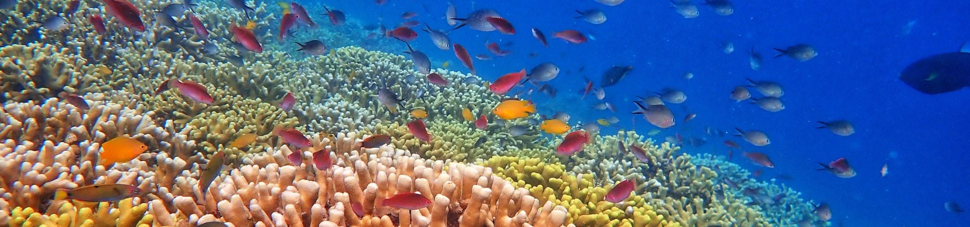 Image of North and Central Bali