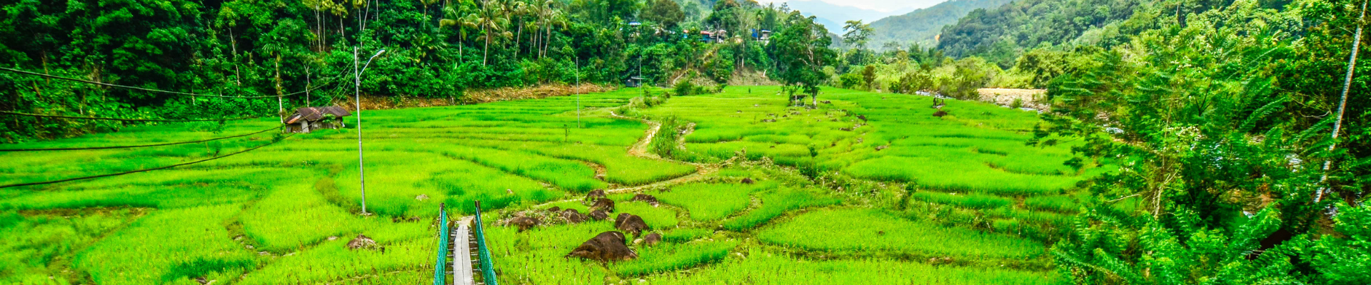 Kiulu Valley Farmstay