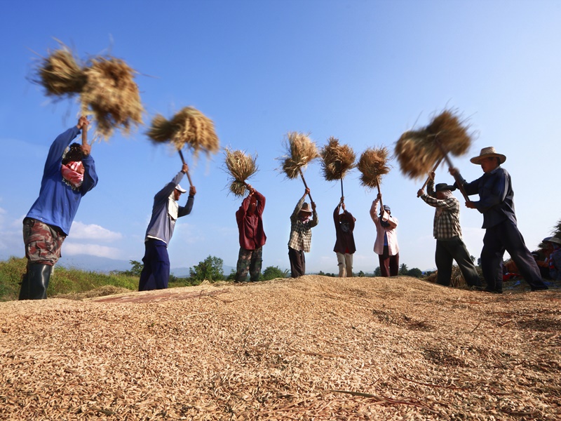 Cycling - Chiang Mai to Chiang Rai