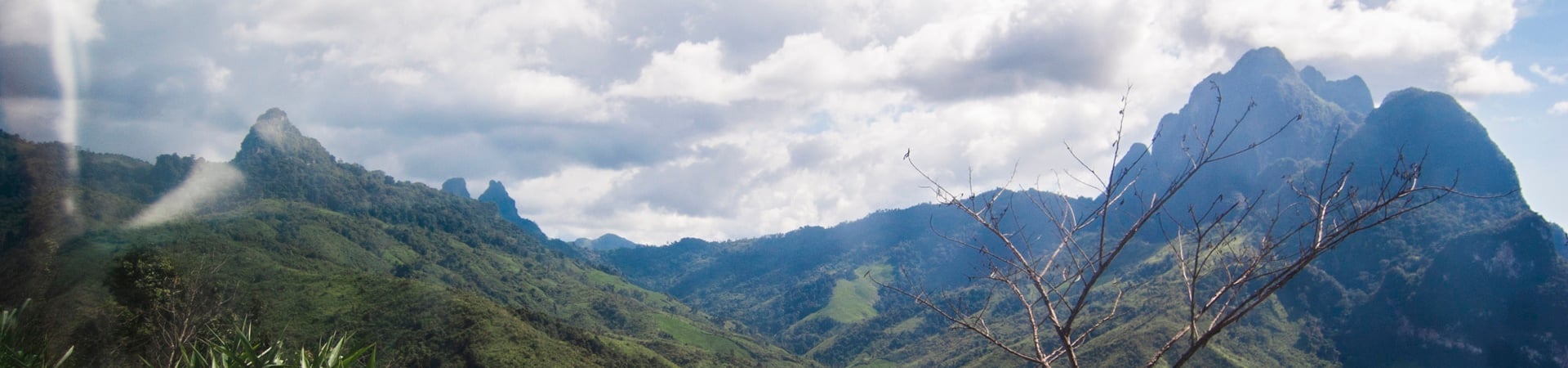 Image of Trekking the NEPL Cloud Forest Challenge