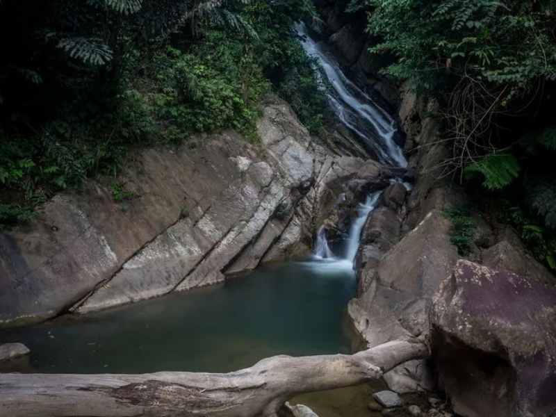 Agro Stay at Sapulot