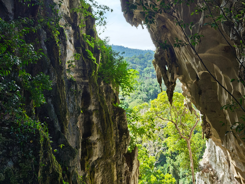 Agro Stay at Sapulot