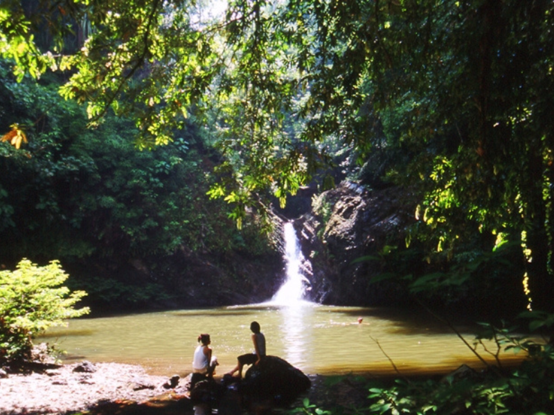 Tabin Wildlife Safari