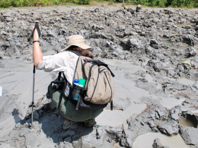 Tabin Wildlife Safari