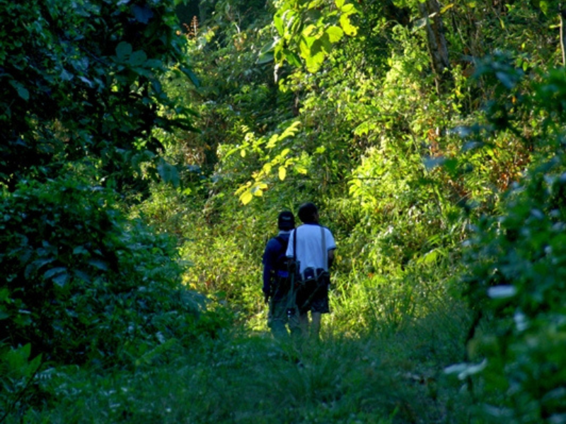 Tabin Wildlife Safari