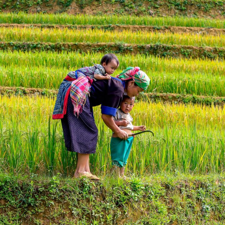 Carbon Friendly Tour of North Vietnam