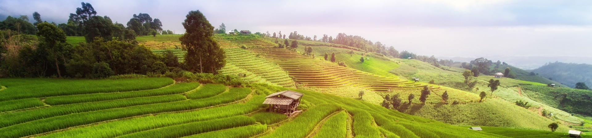 Image of Cycling - Chiang Mai to Chiang Rai