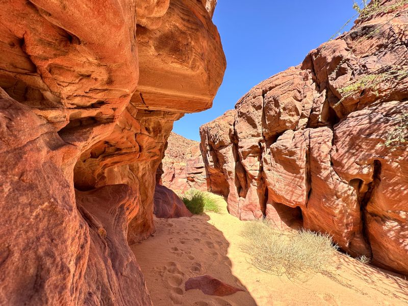 AlUla Wellness Festival (24Oct - 01Nov 2025)