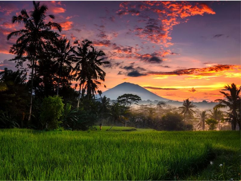 Bali Cycling - Live With Local