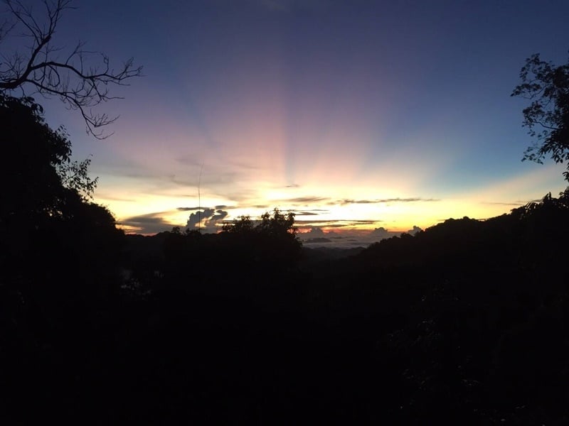 Kaeng Krachan Bird Watching Experience