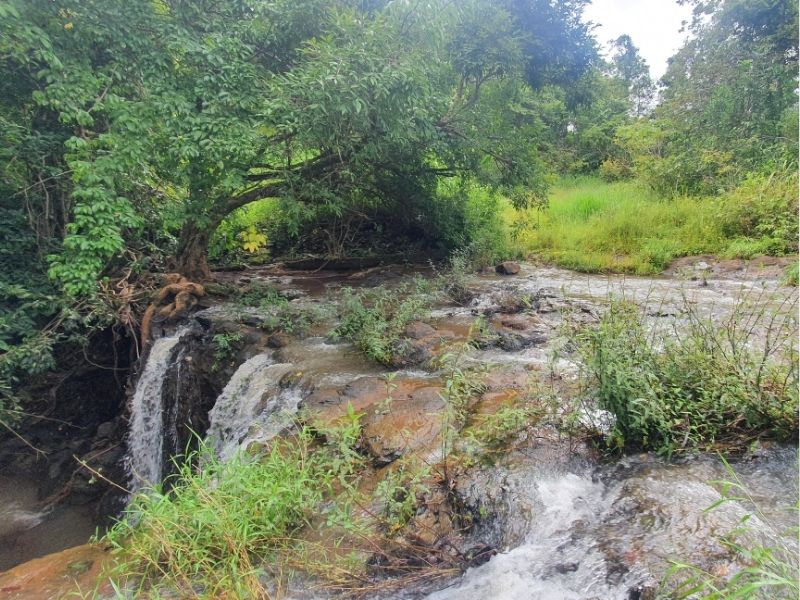 Eastern Cambodia Explorer