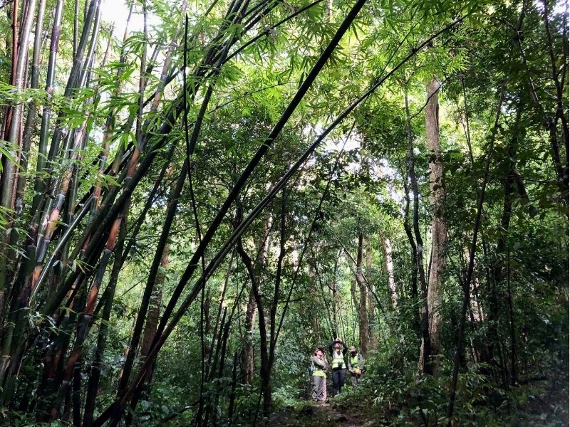 Eastern Cambodia Explorer