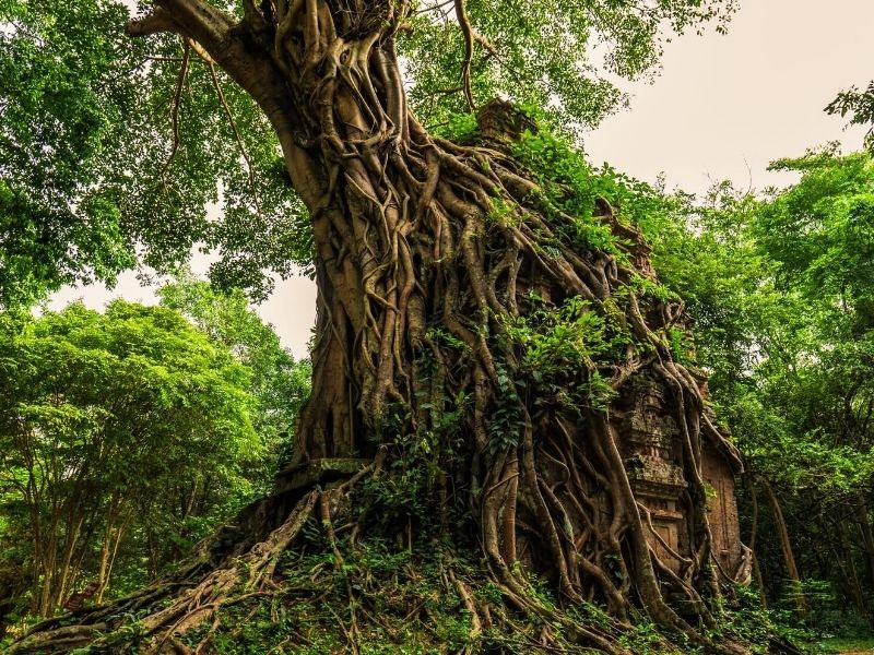 Cambodia Green Season Getaway