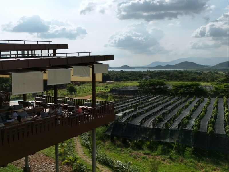 Cambodia Green Season Getaway