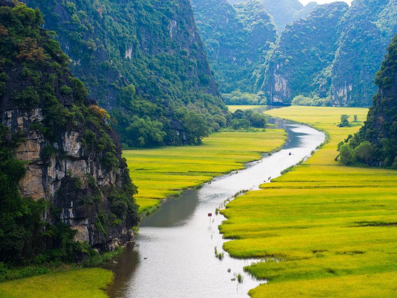 Echoes of the Wild - Conservation in North Vietnam and Laos