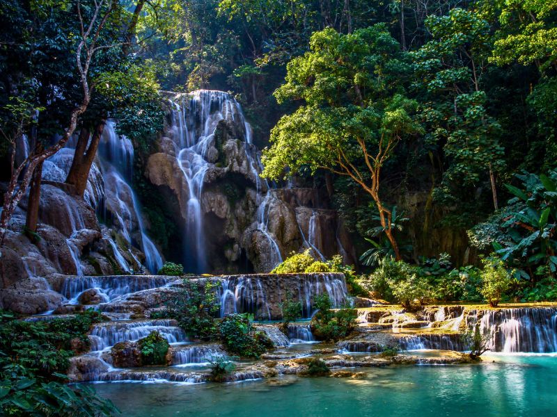 Echoes of the Wild - Conservation in North Vietnam and Laos
