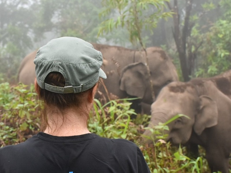 Elephants & Mountain Homestay Adventure